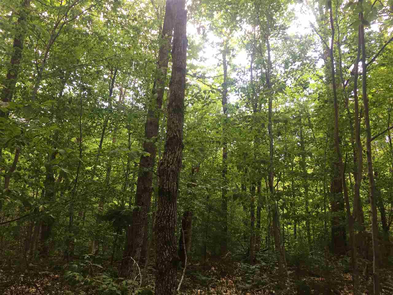 0 Lincoln Gap Road
