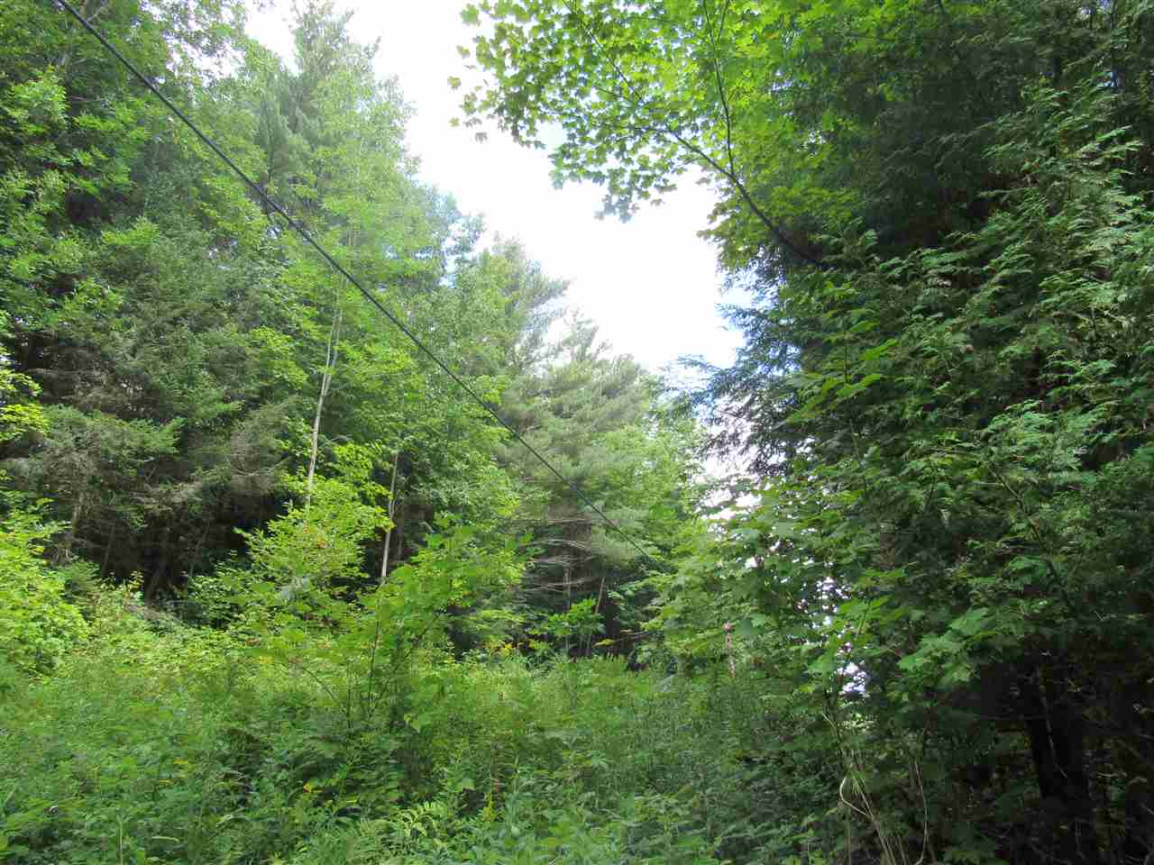 0 Loop Road