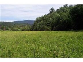 0 MILL BROOK ROAD (RT 17)