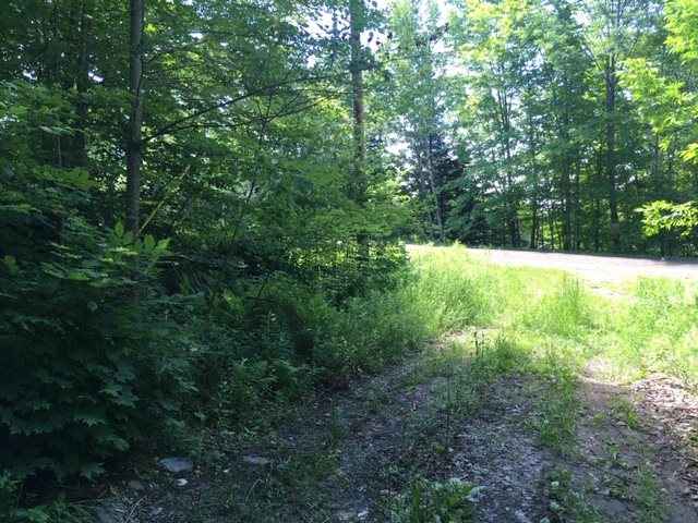 0 Miller Woods Drive