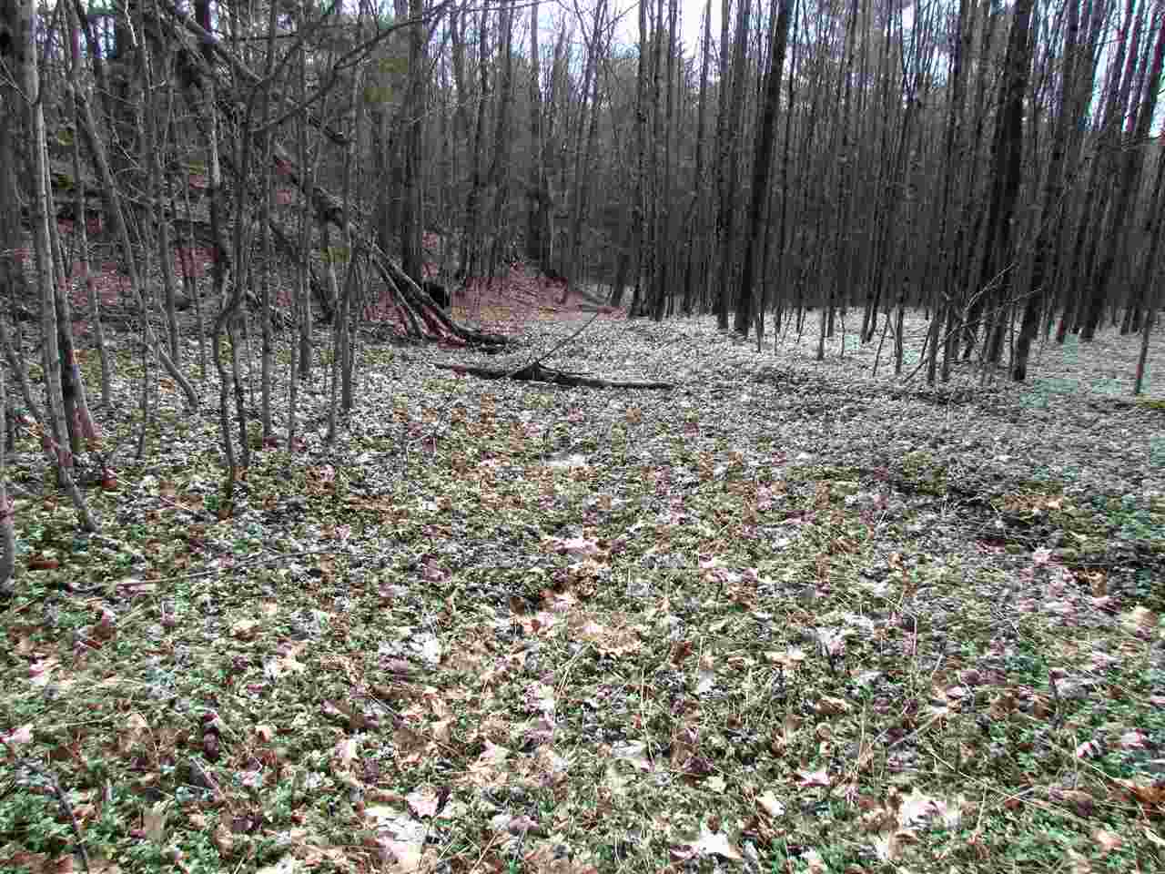 0 Moretown Mountain Road