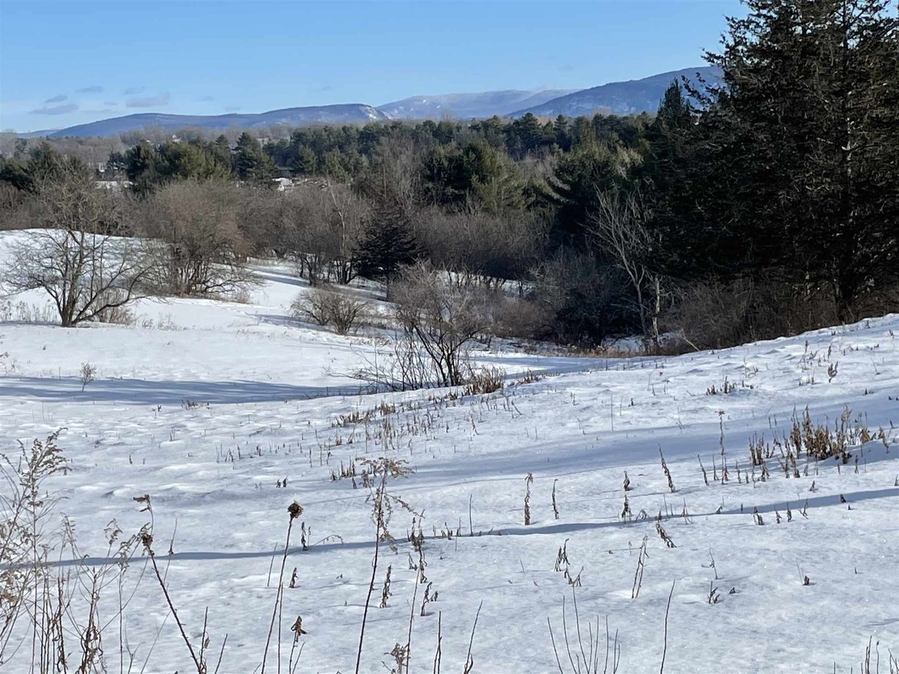 0 Morgan Horse Farm Road