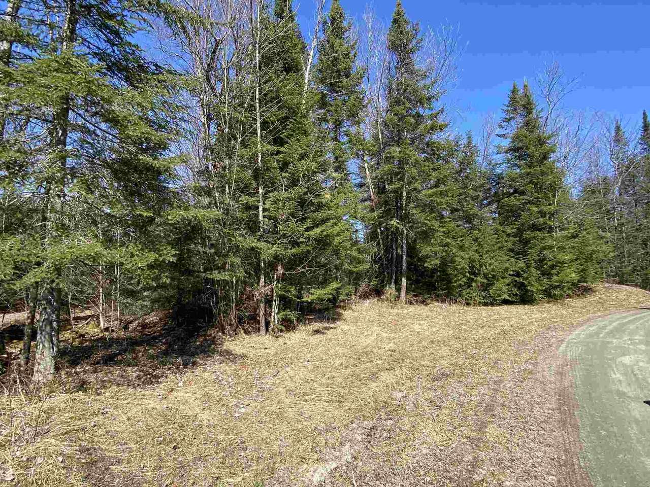 0 Mountain Estates Drive