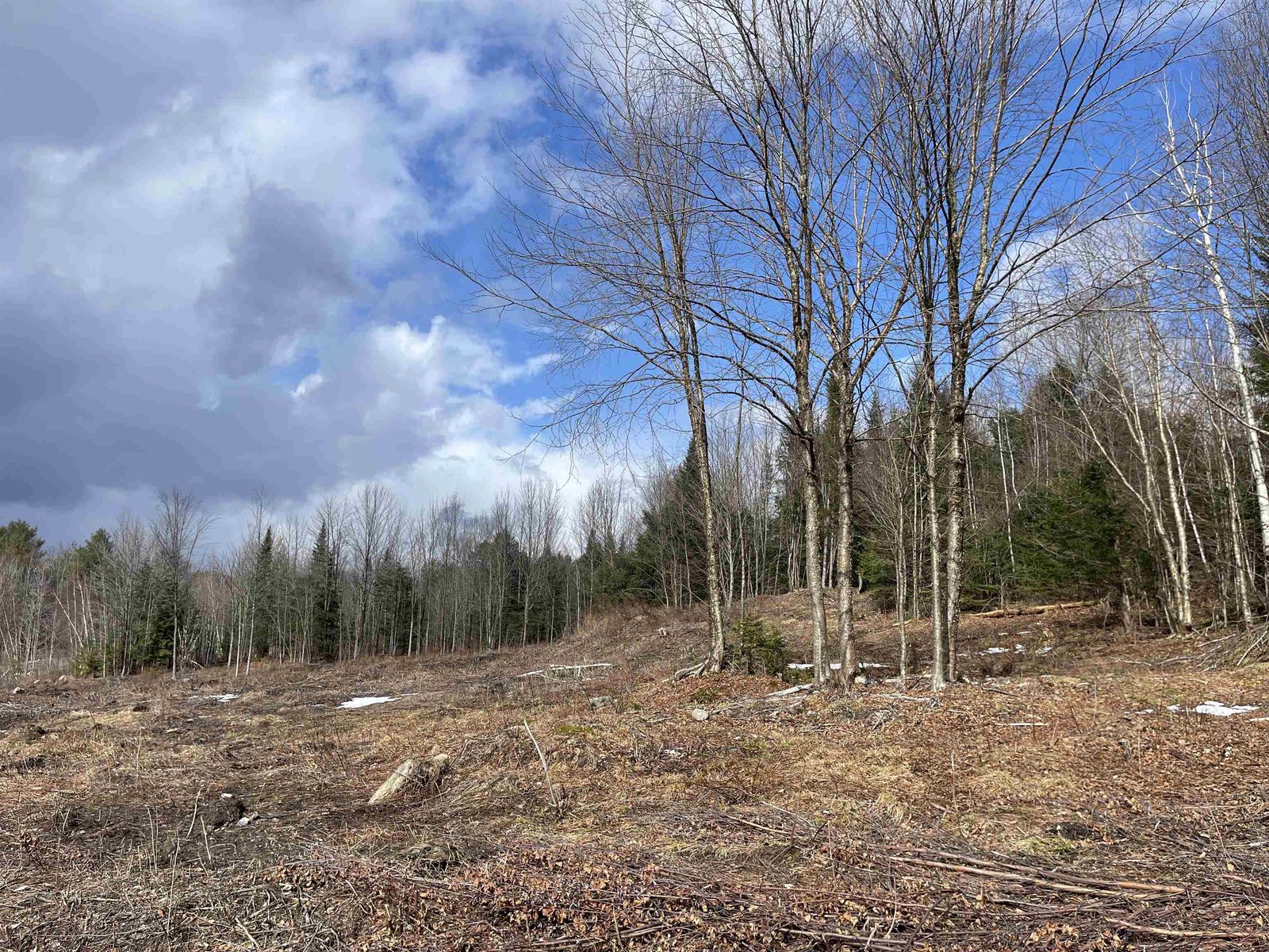 0 Mountain Estates Drive