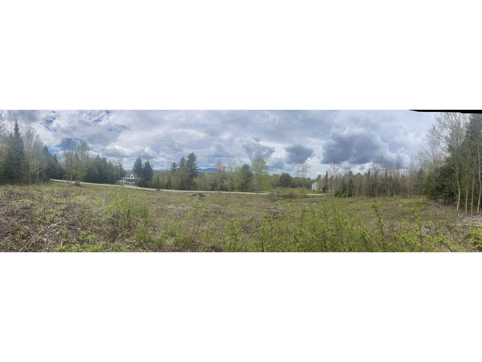 Panoramic