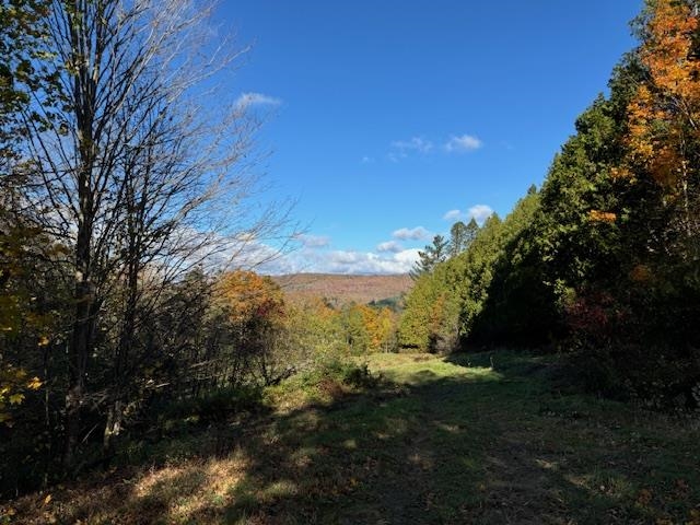 0 Mountain Hill Road