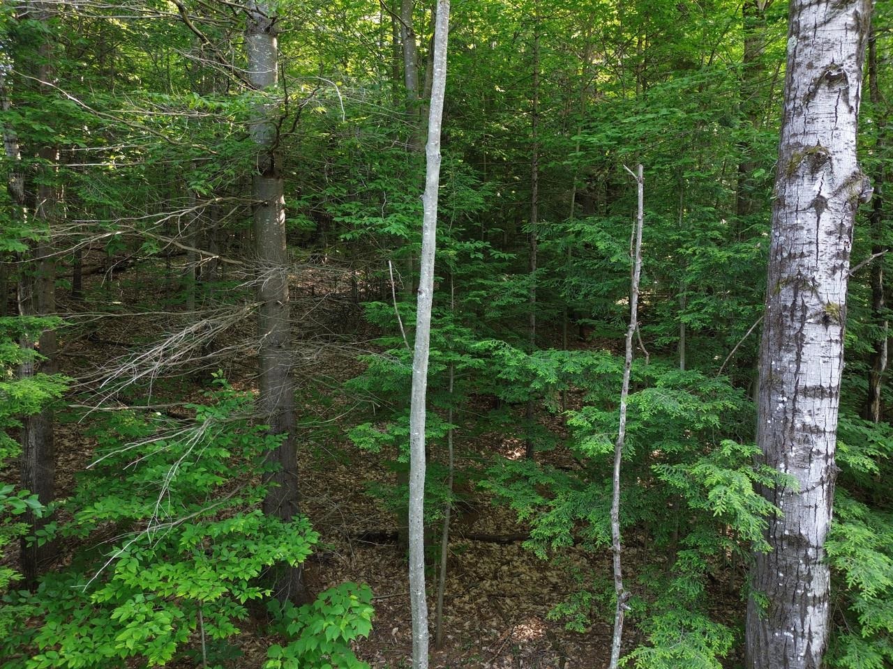 0 Old Carriage Road