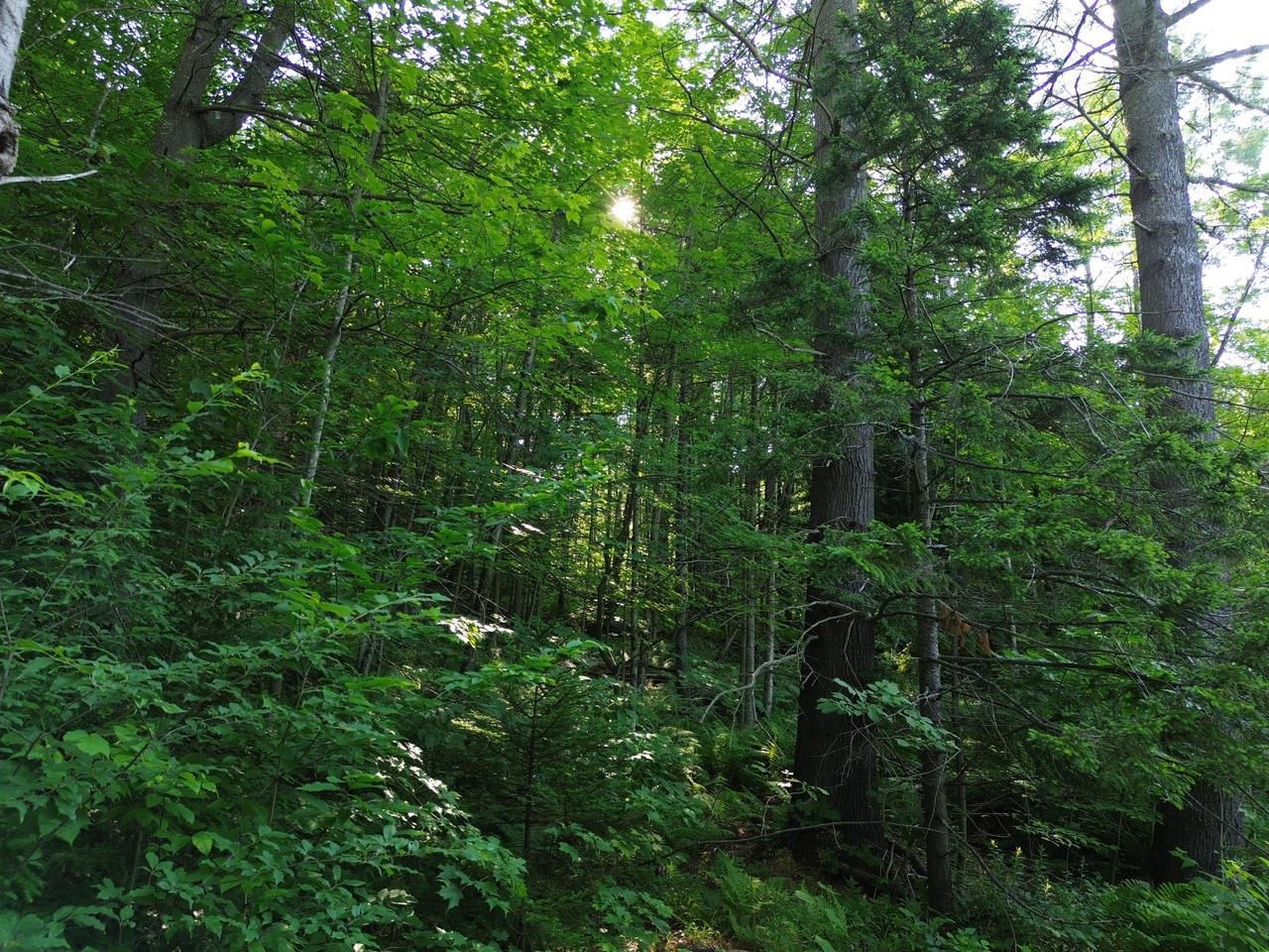 0 Old Carriage Road