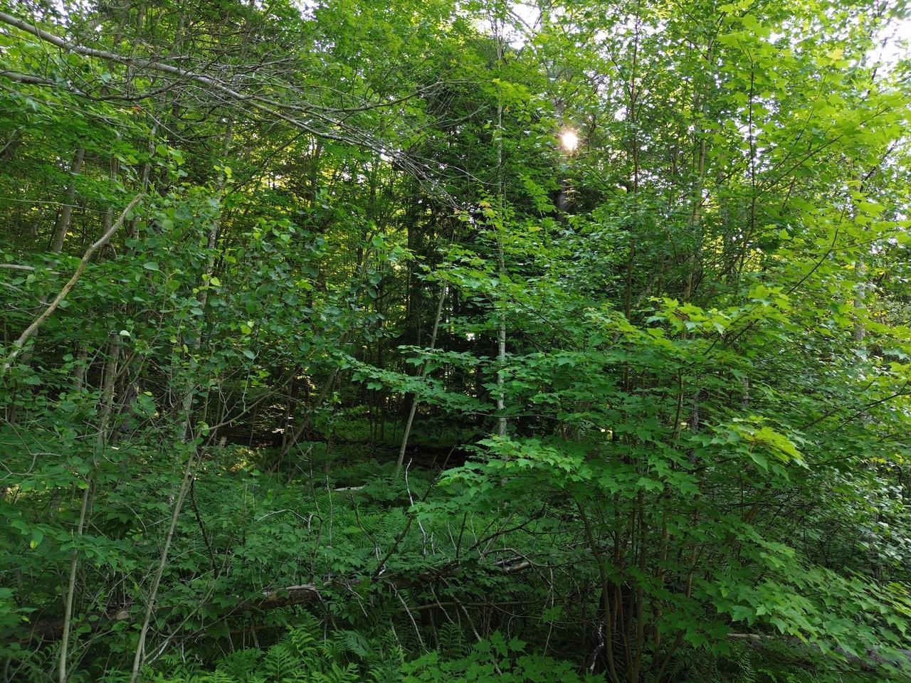 0 Old Carriage Road