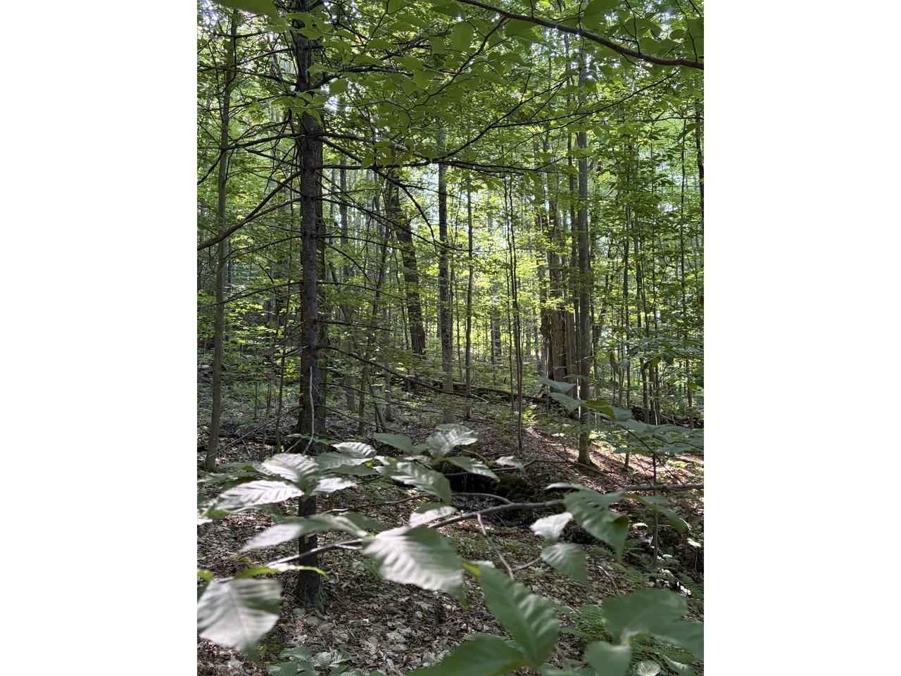 0 Old Carriage Road