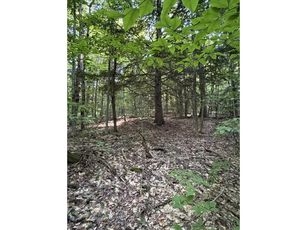 0 Old Carriage Road