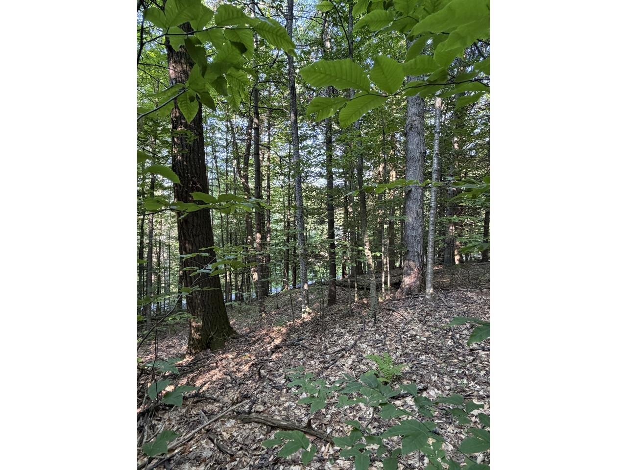 0 Old Carriage Road