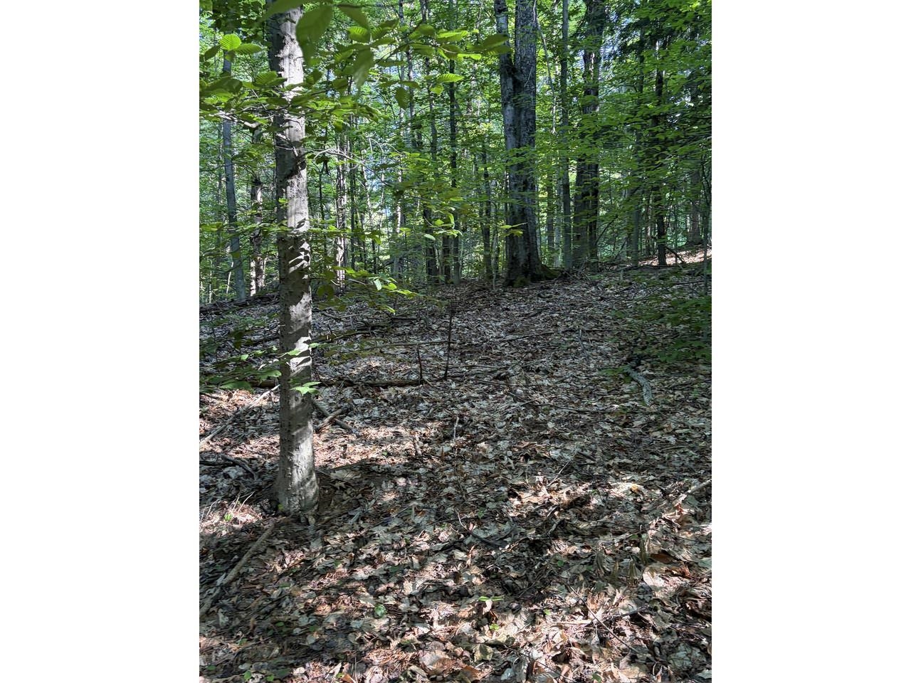 0 Old Carriage Road
