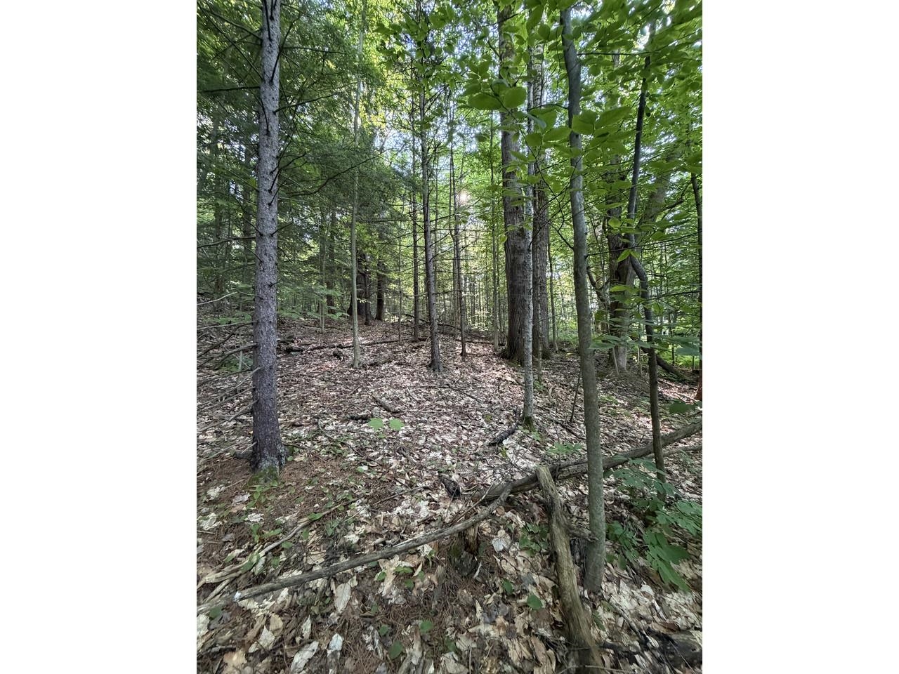 0 Old Carriage Road