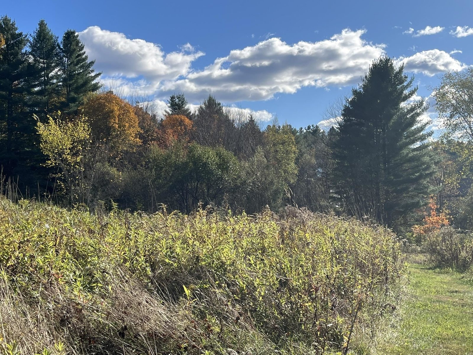0 Old Farm Road