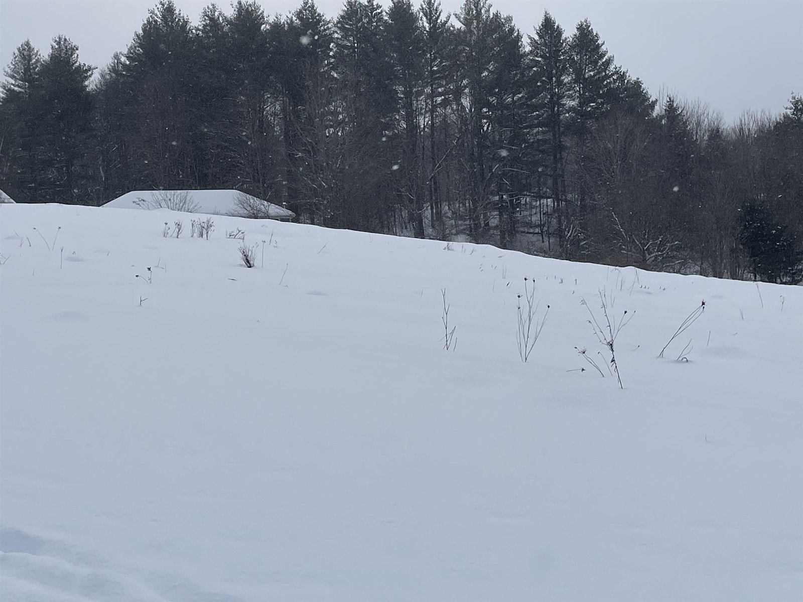 0 Old Farm Road