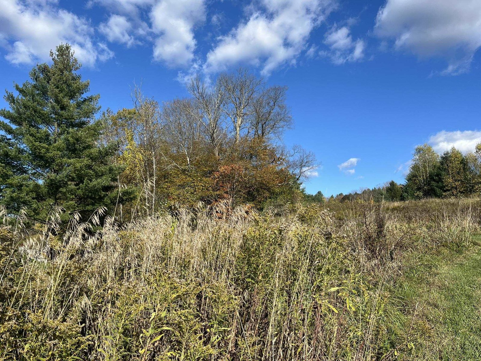 0 Old Farm Road