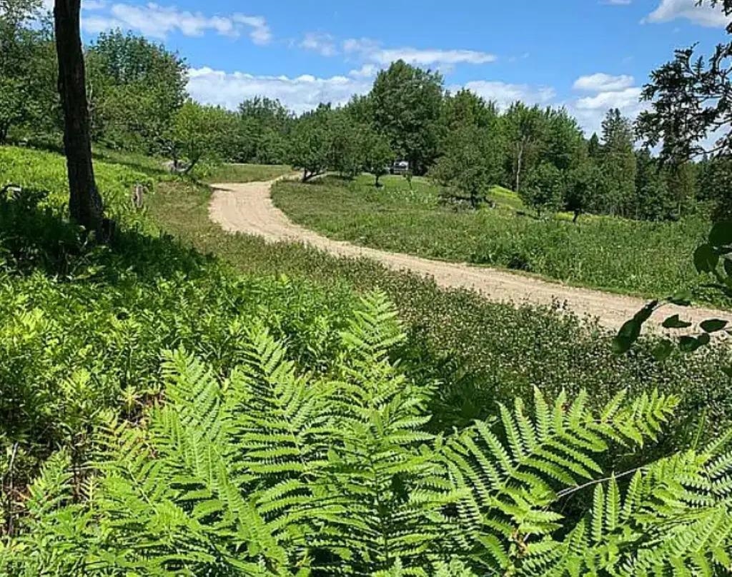 0 Overlook Drive