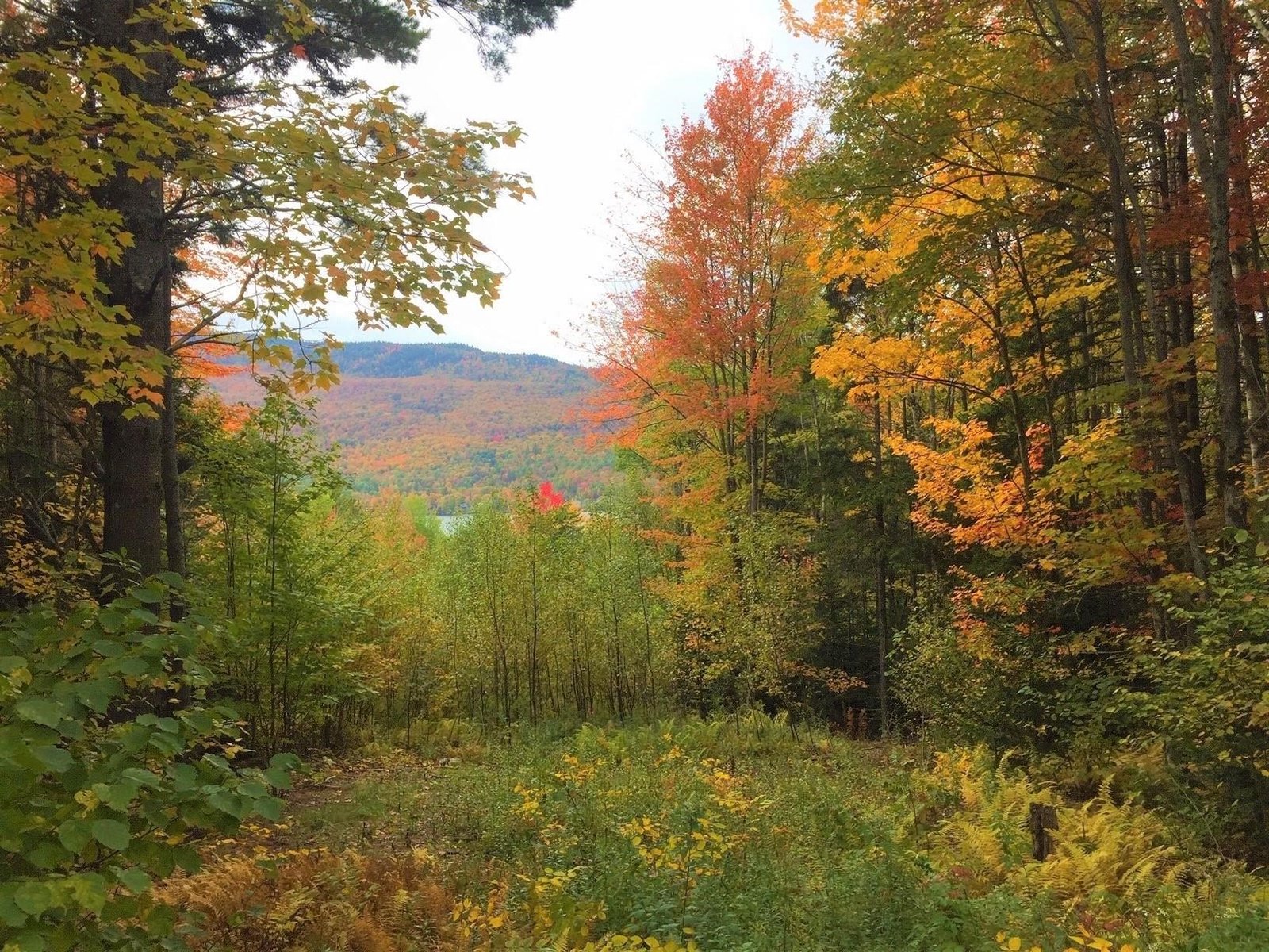 0 Overlook Hill Road
