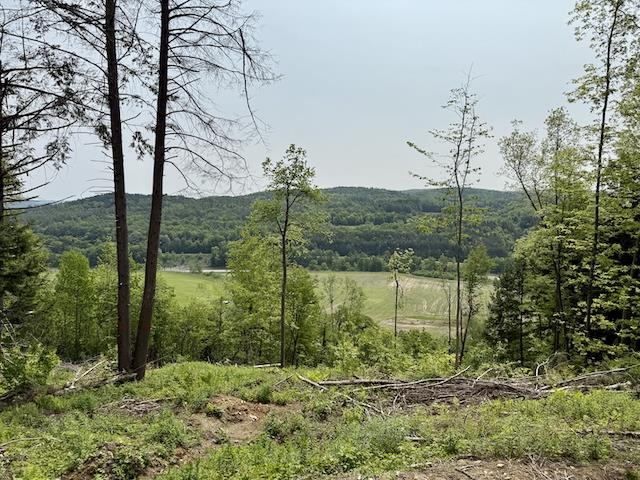 0 Peavine Boulevard, Bethel