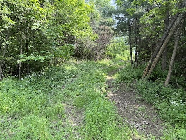 0 Peavine Boulevard