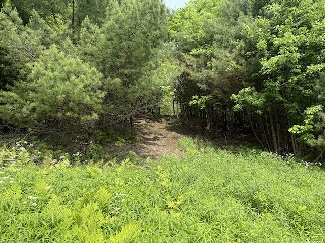 0 Peavine Boulevard