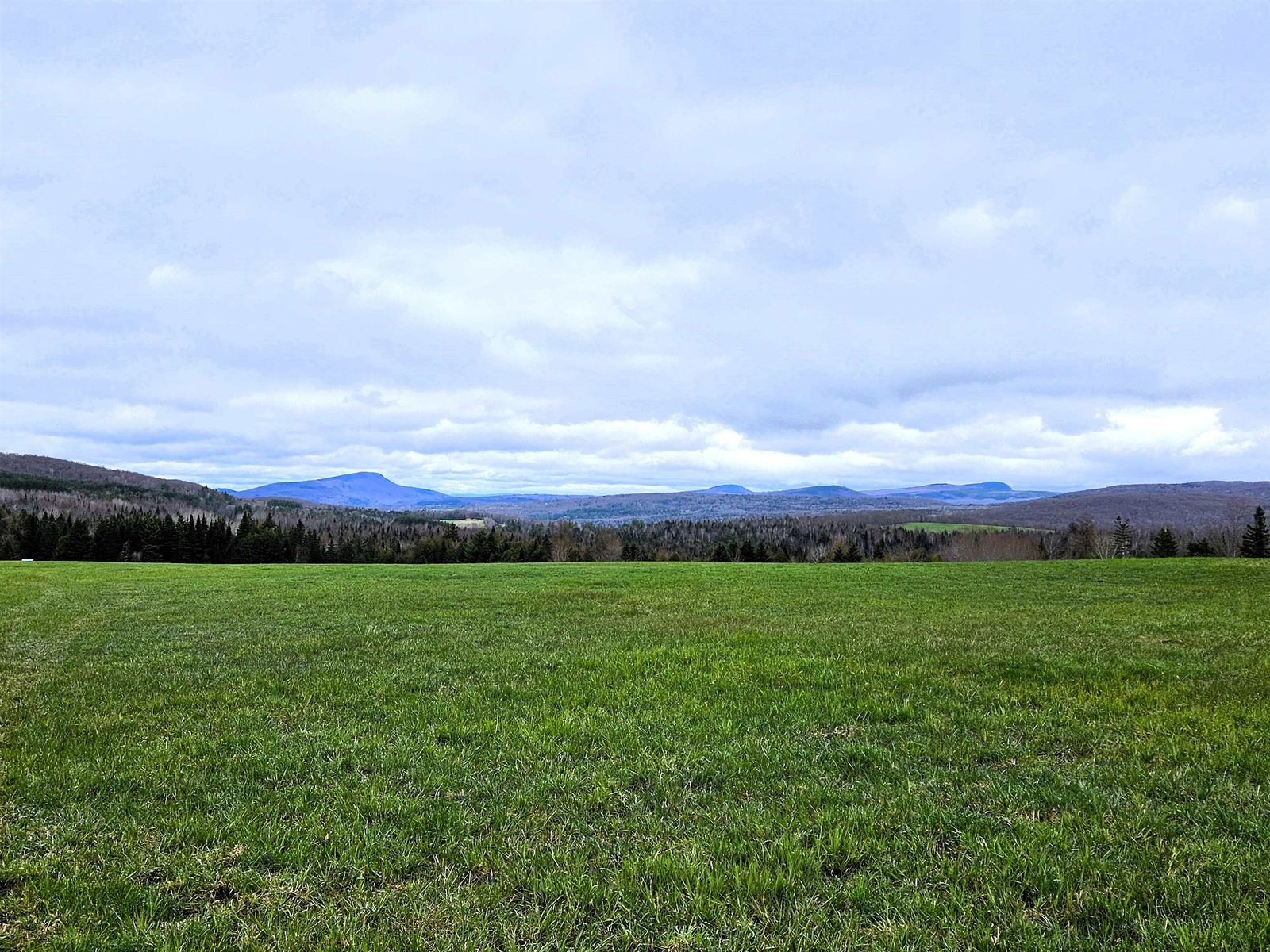 81.32 Acres