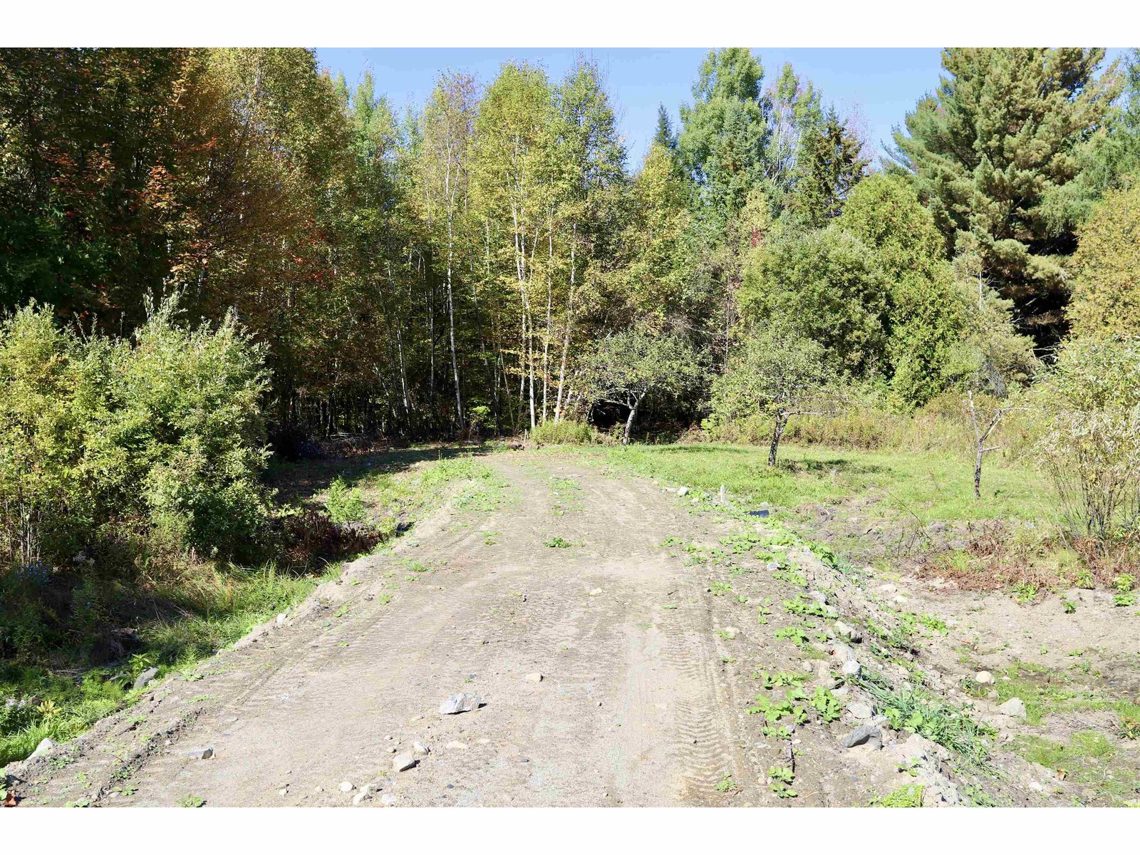 Drive Leads into 4.79-Acre Parcel