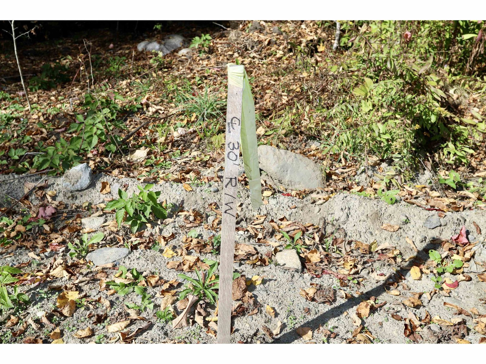 Center Marker for 30' ROW Driveway