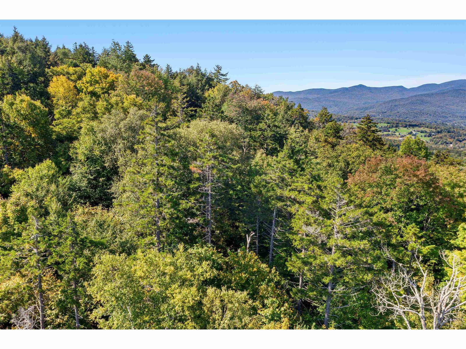 0 Pinnacle Meadow Road