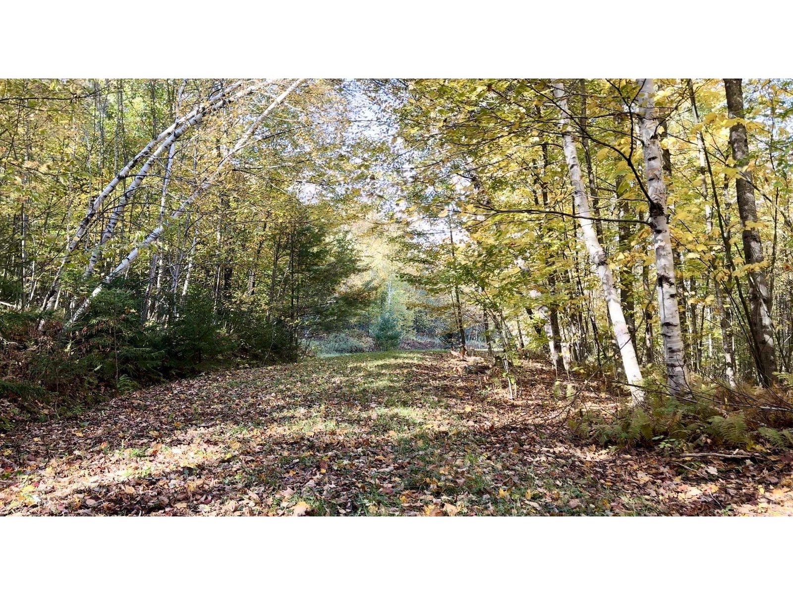 0 Pinnacle Meadow Road