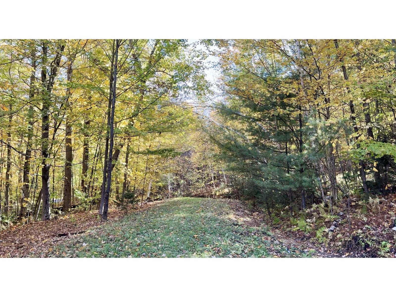 0 Pinnacle Meadow Road