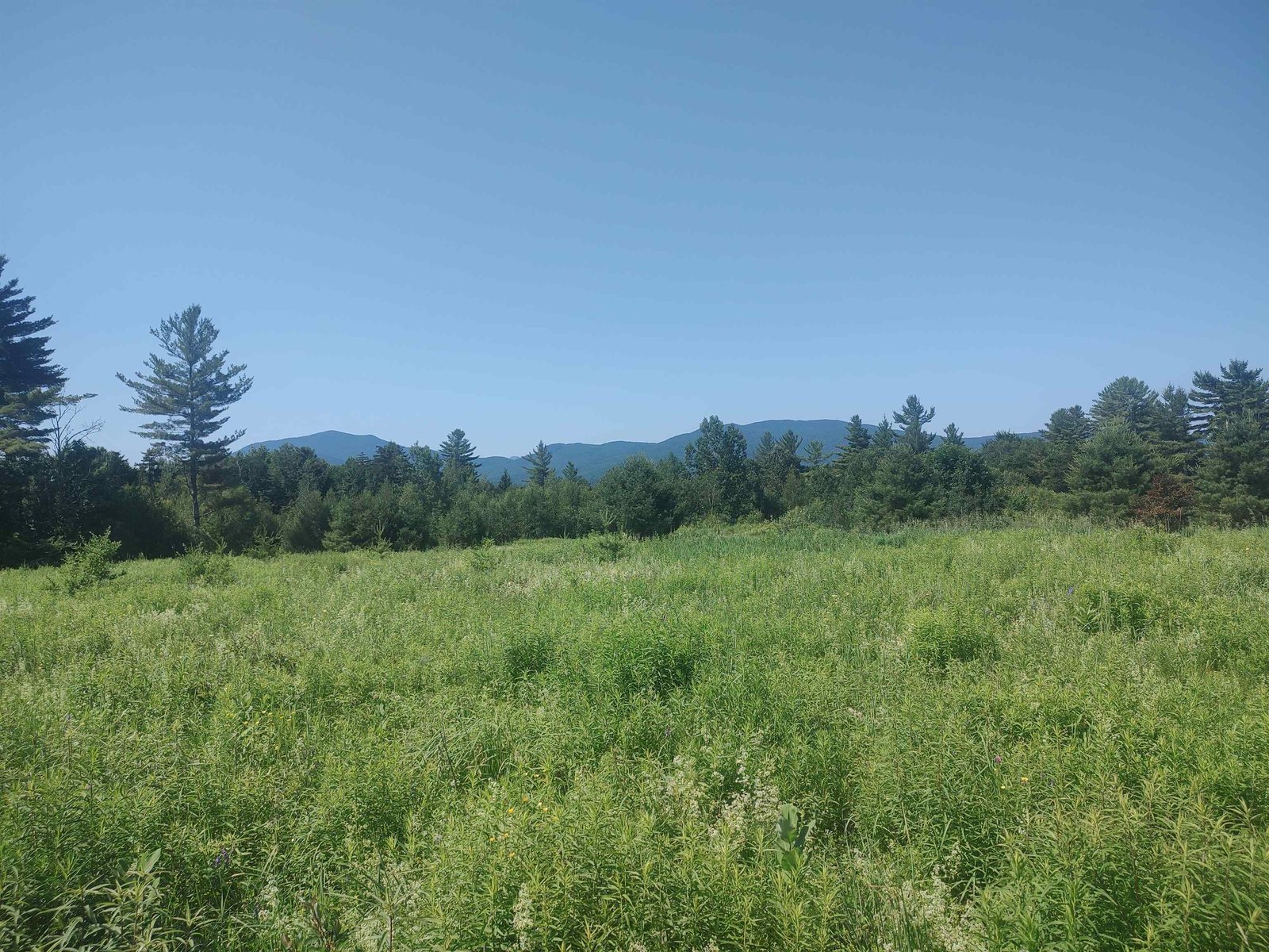 0 Plot Road