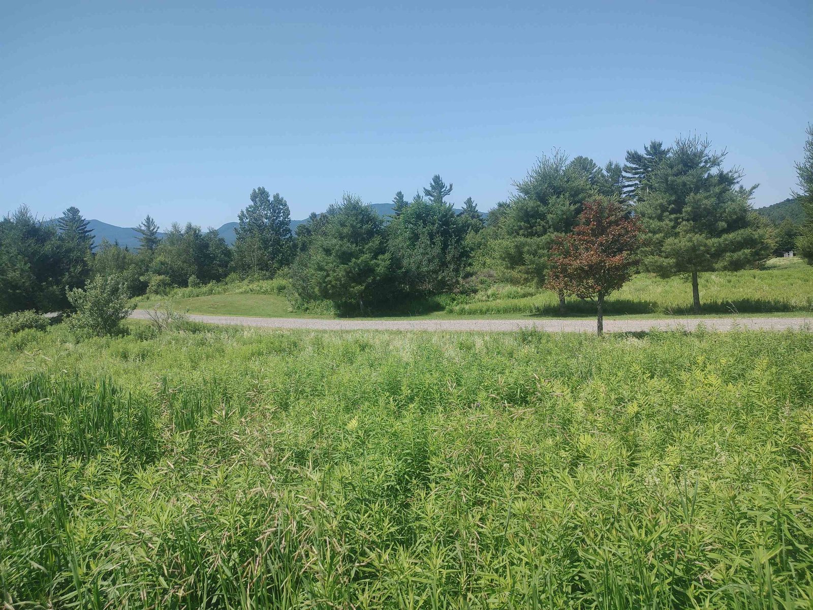 Private Shared Drive - Bella Vista!