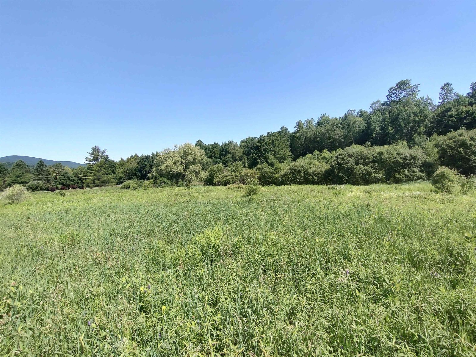 0 Plot Road