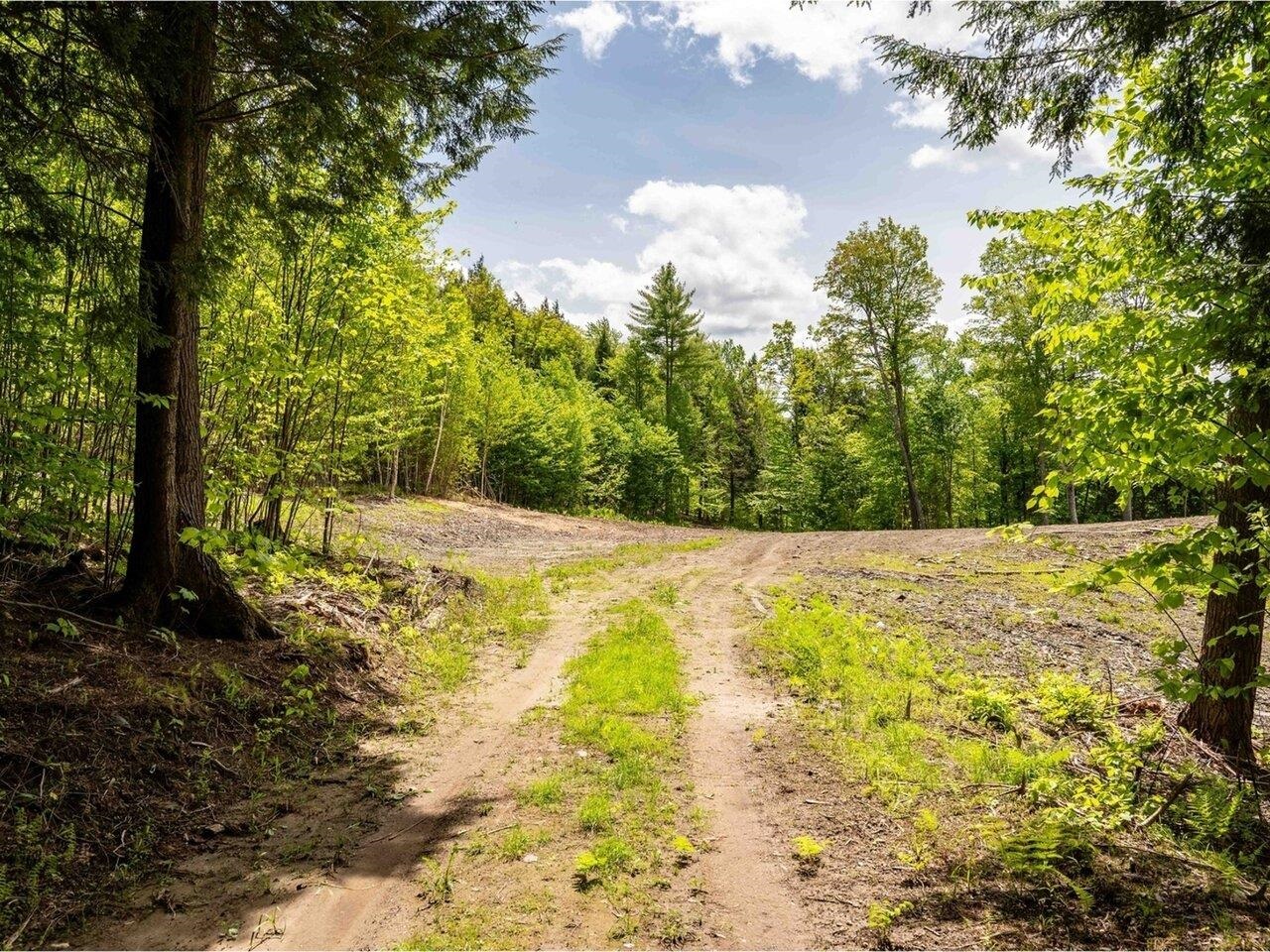 Driveway to cleared acreage