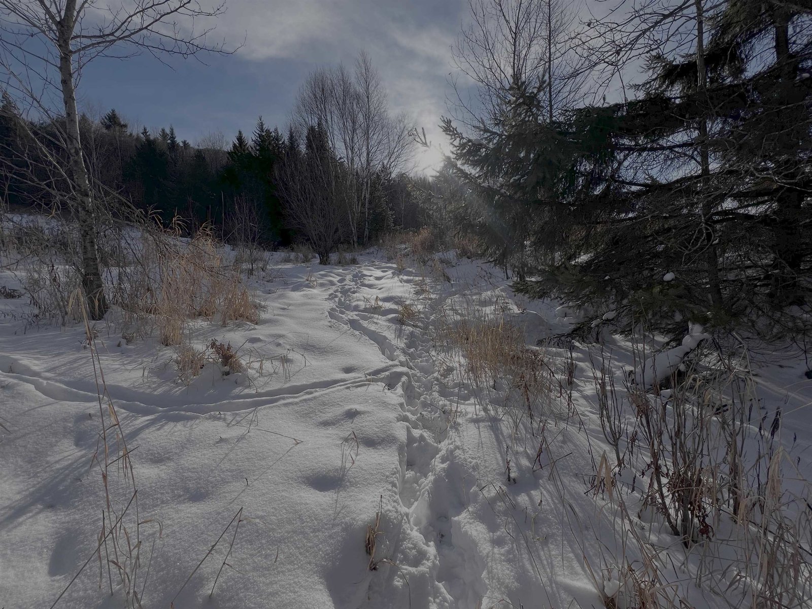 sloping land