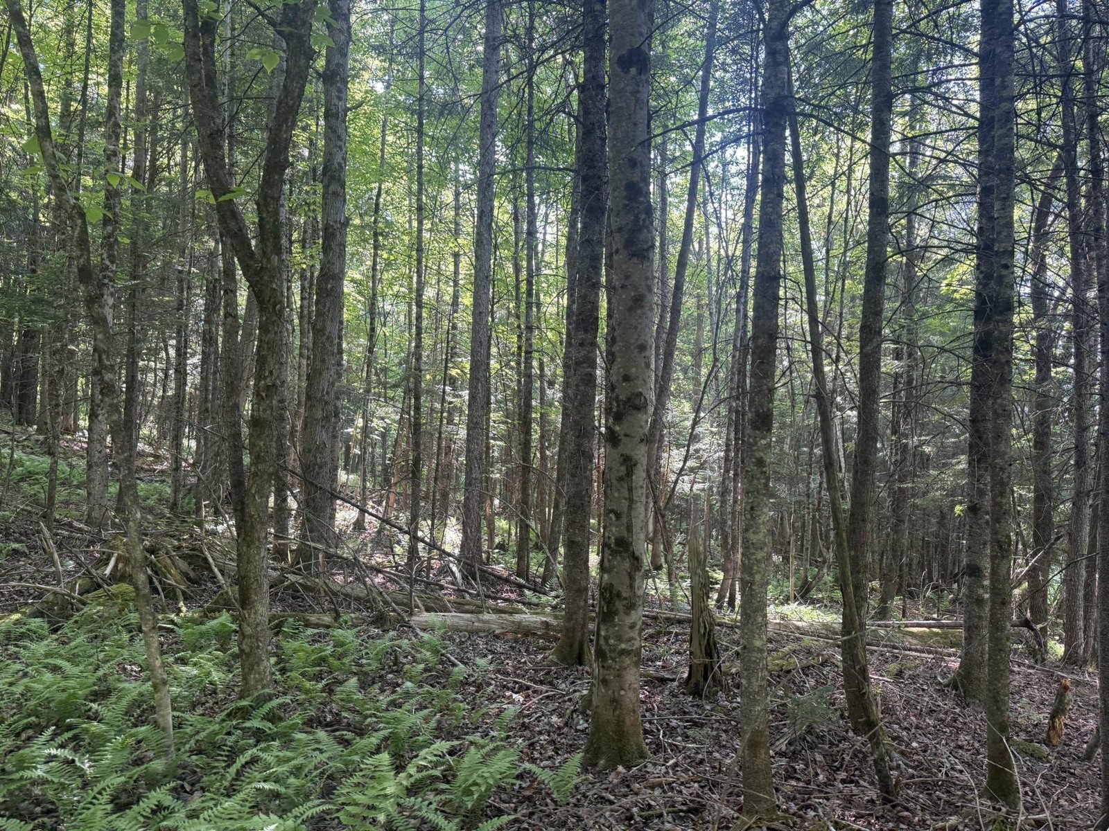 0 Roaring Brook Road