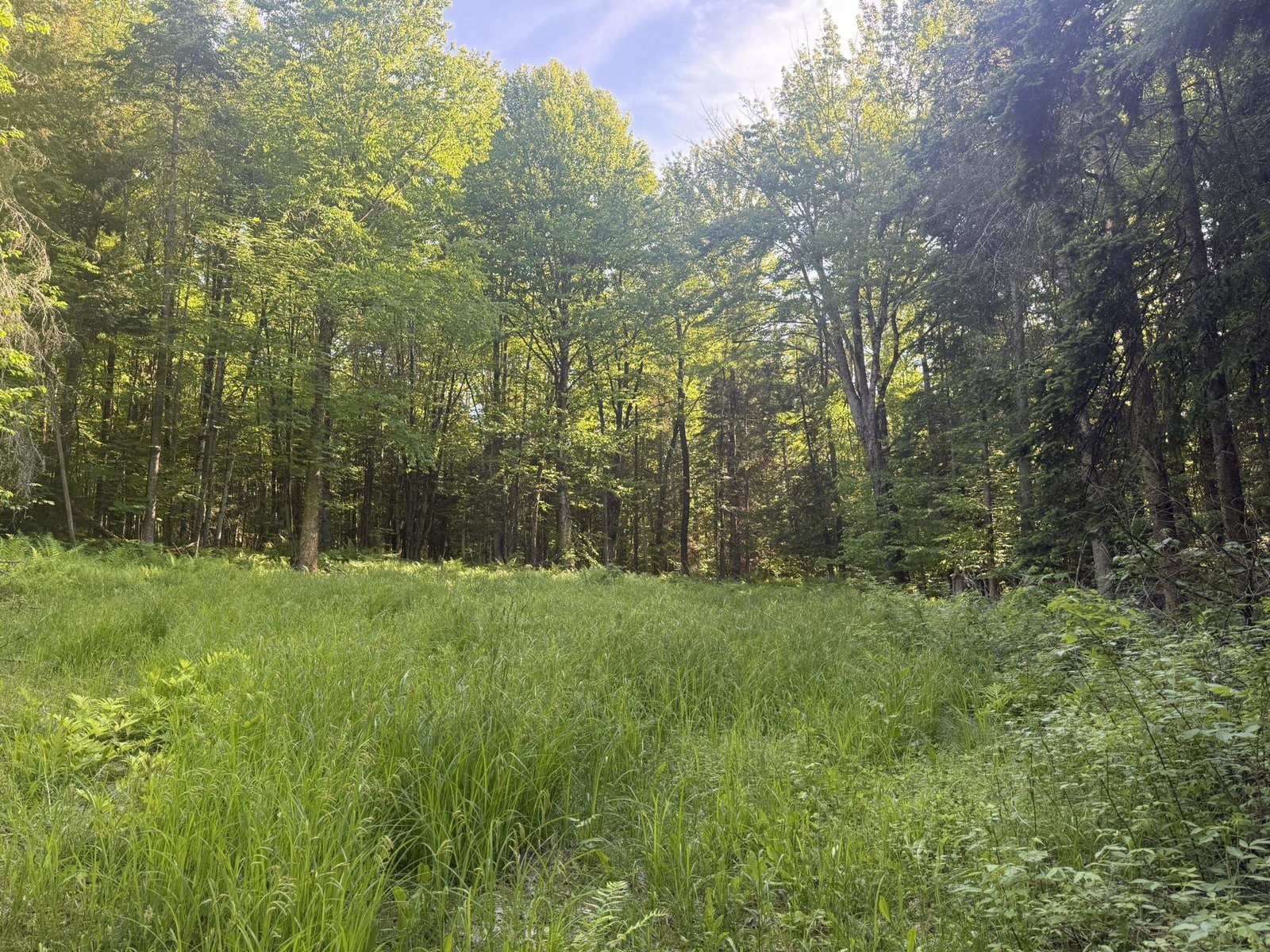 0 Roaring Brook Road