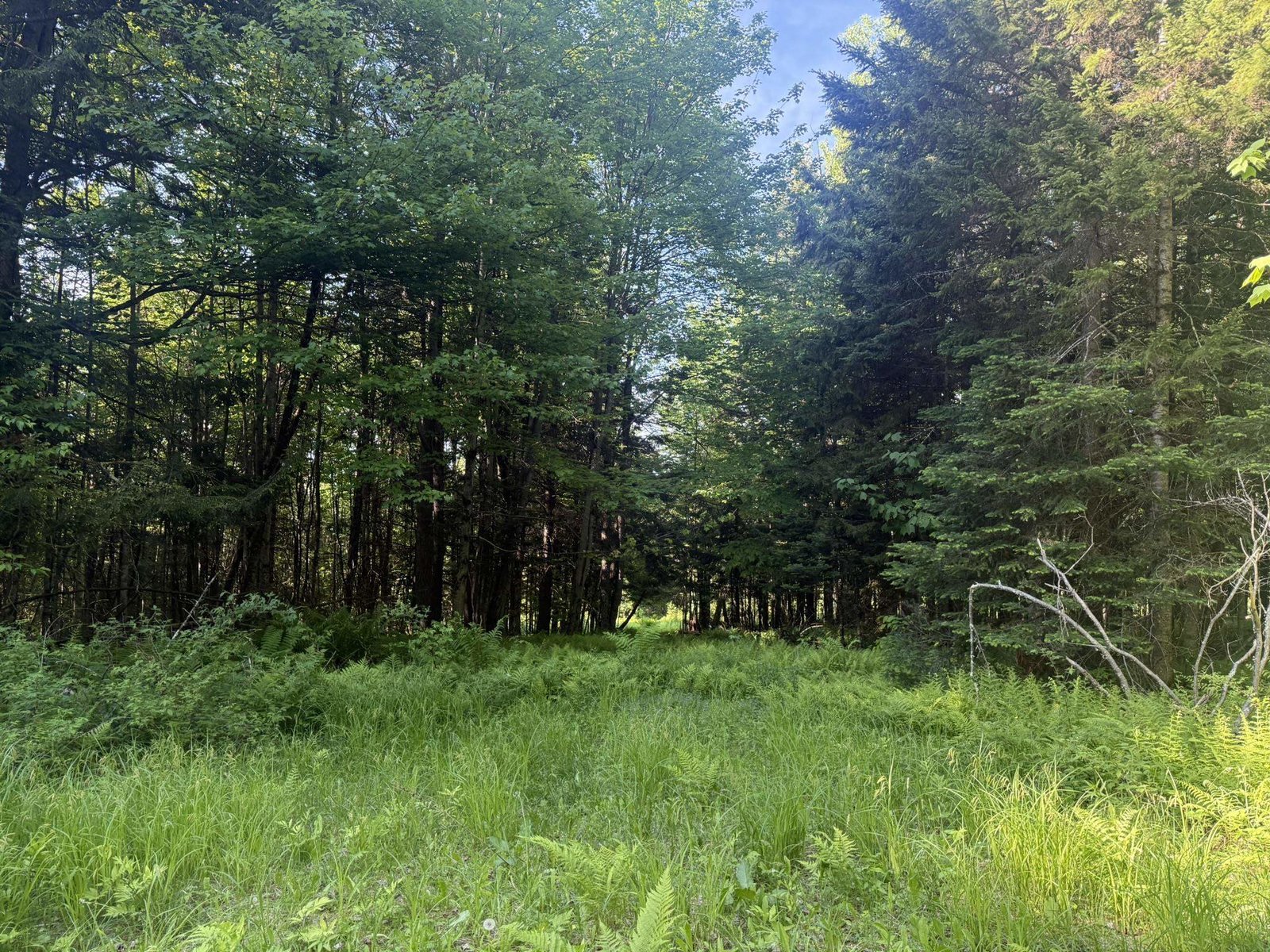 0 Roaring Brook Road