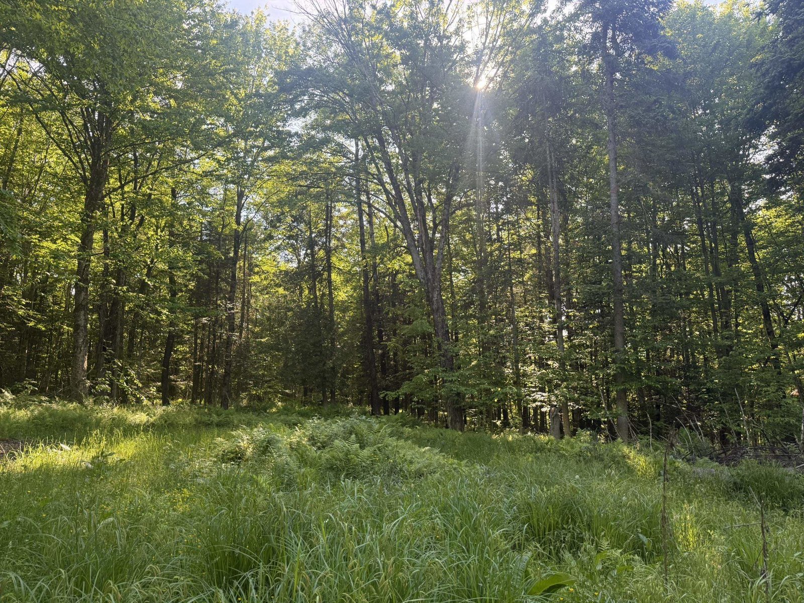 0 Roaring Brook Road