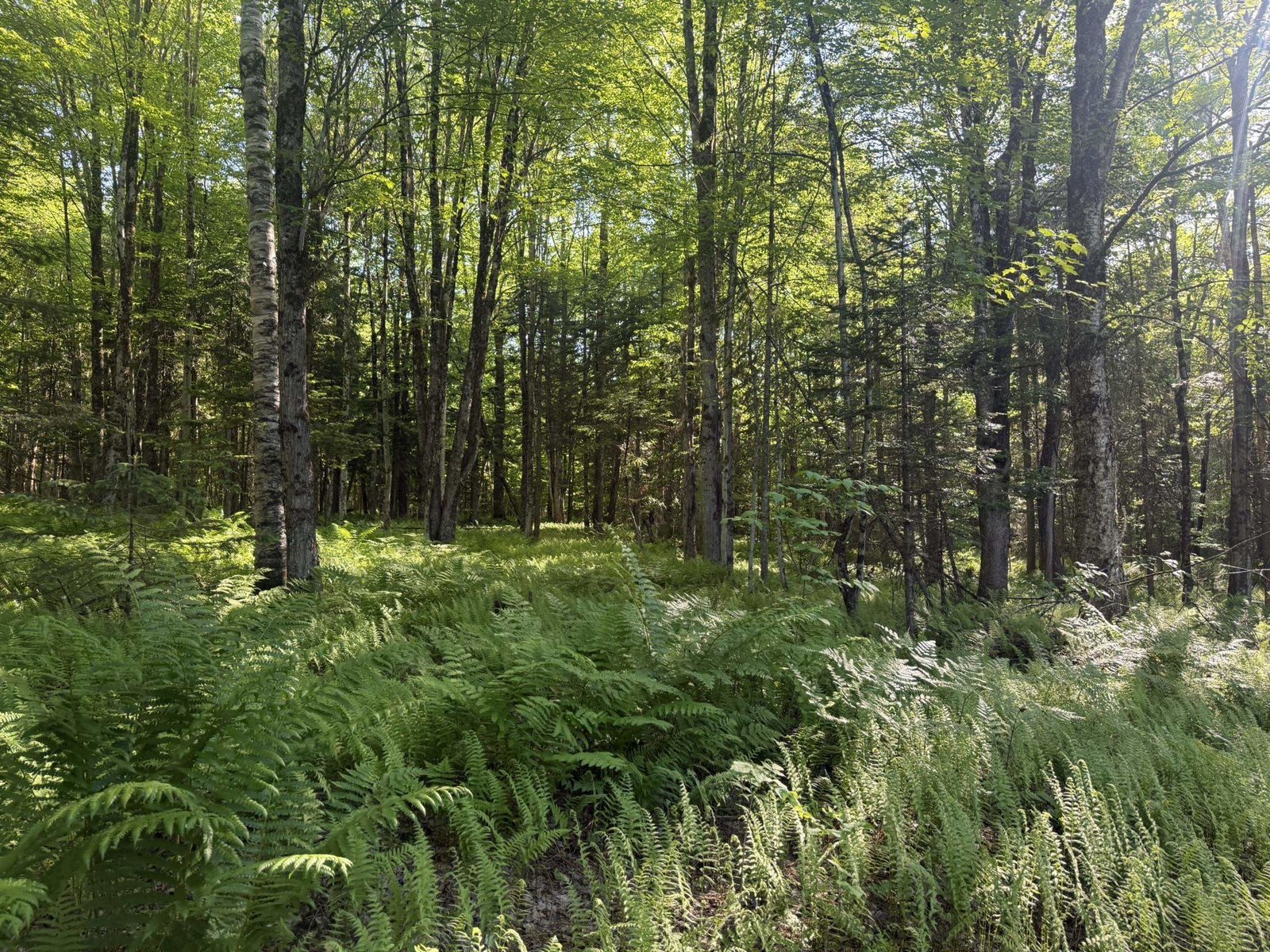 0 Roaring Brook Road