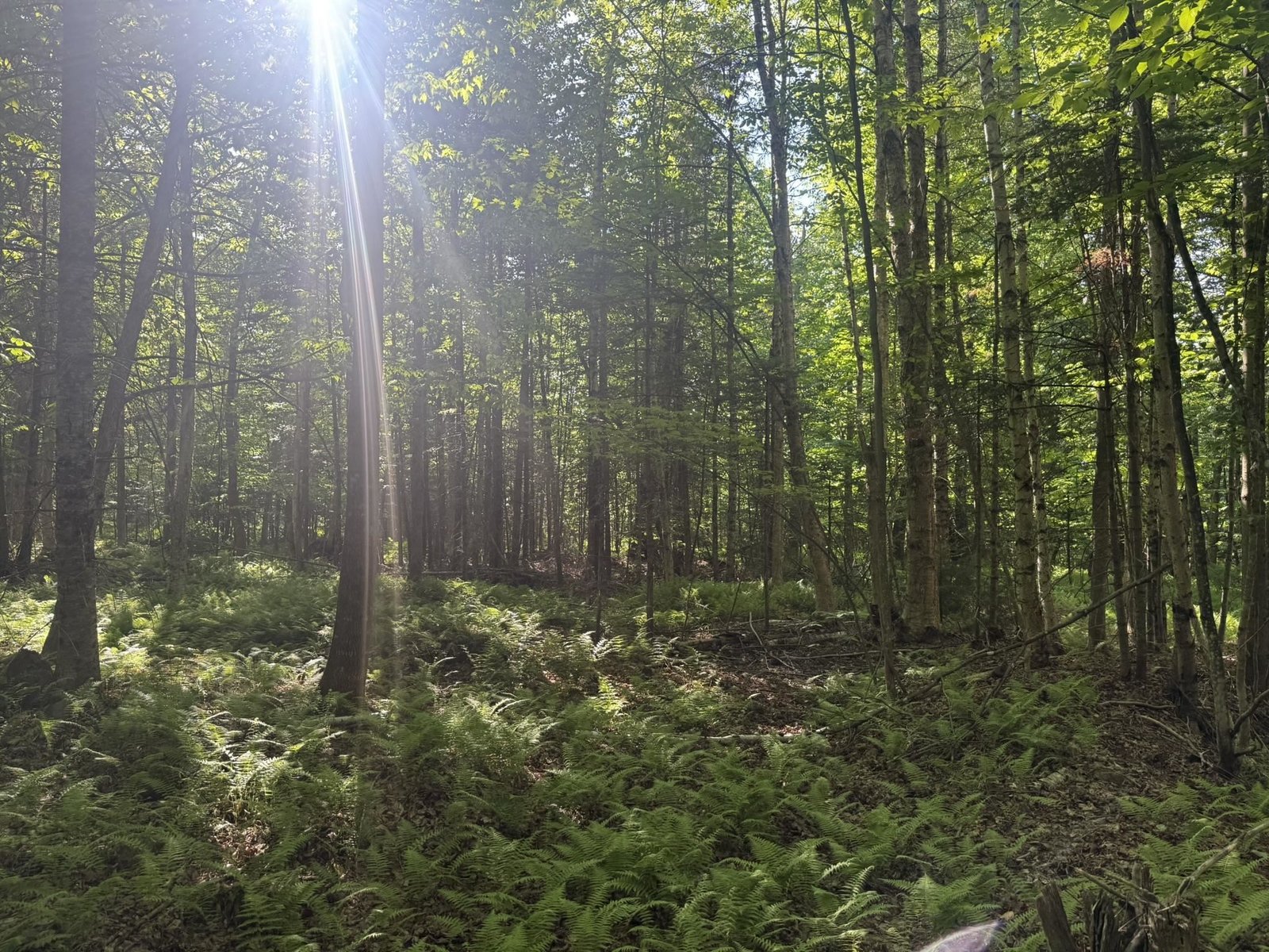 0 Roaring Brook Road