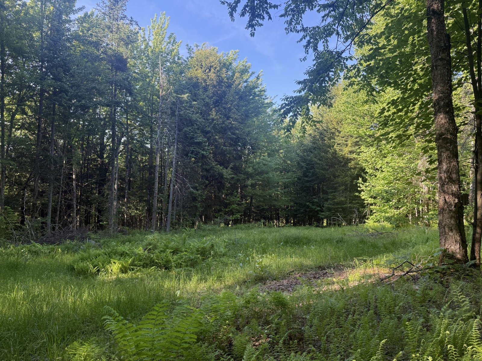 0 Roaring Brook Road