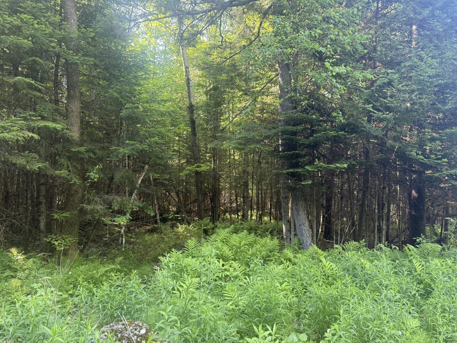 0 Roaring Brook Road