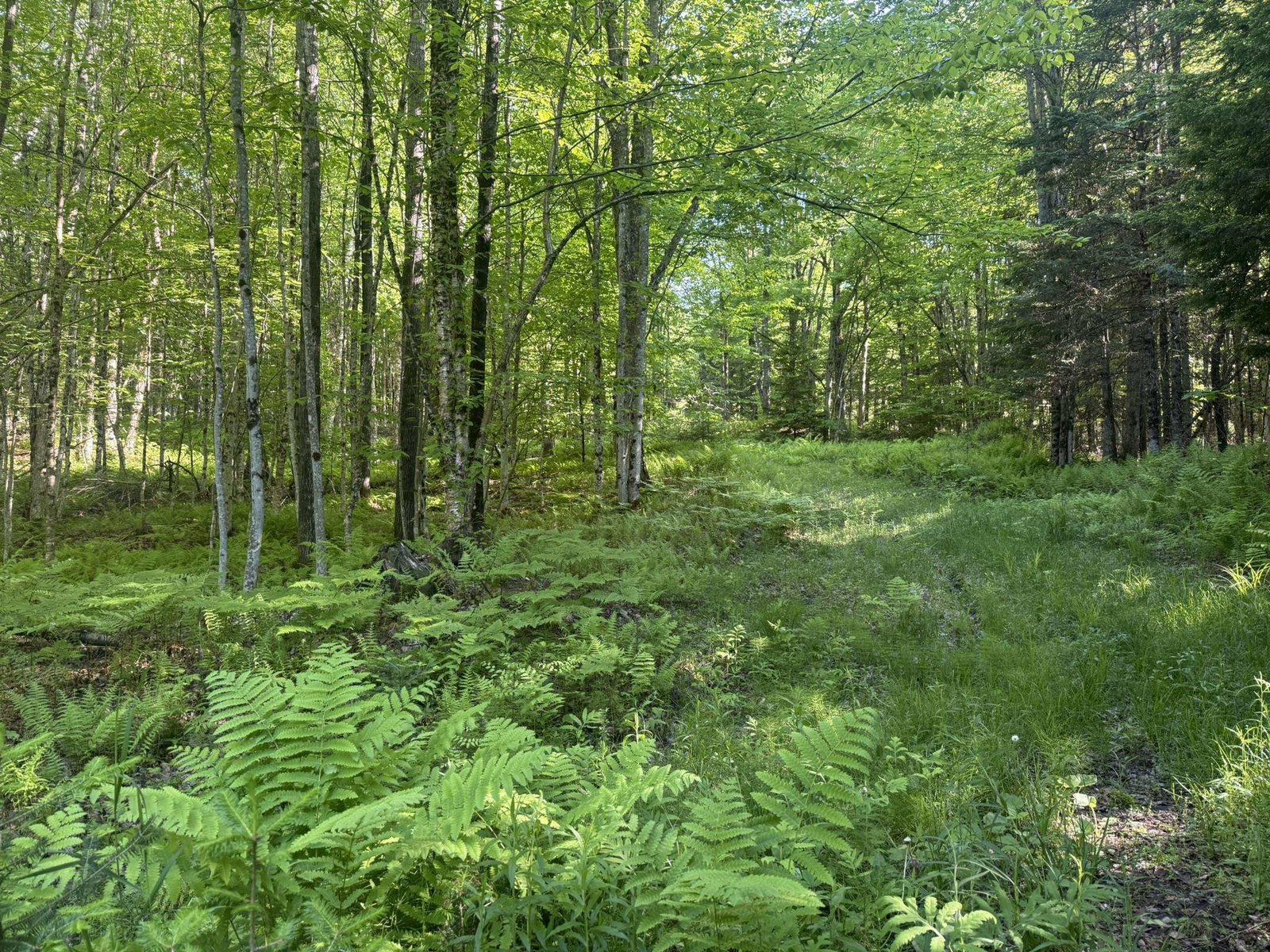 0 Roaring Brook Road