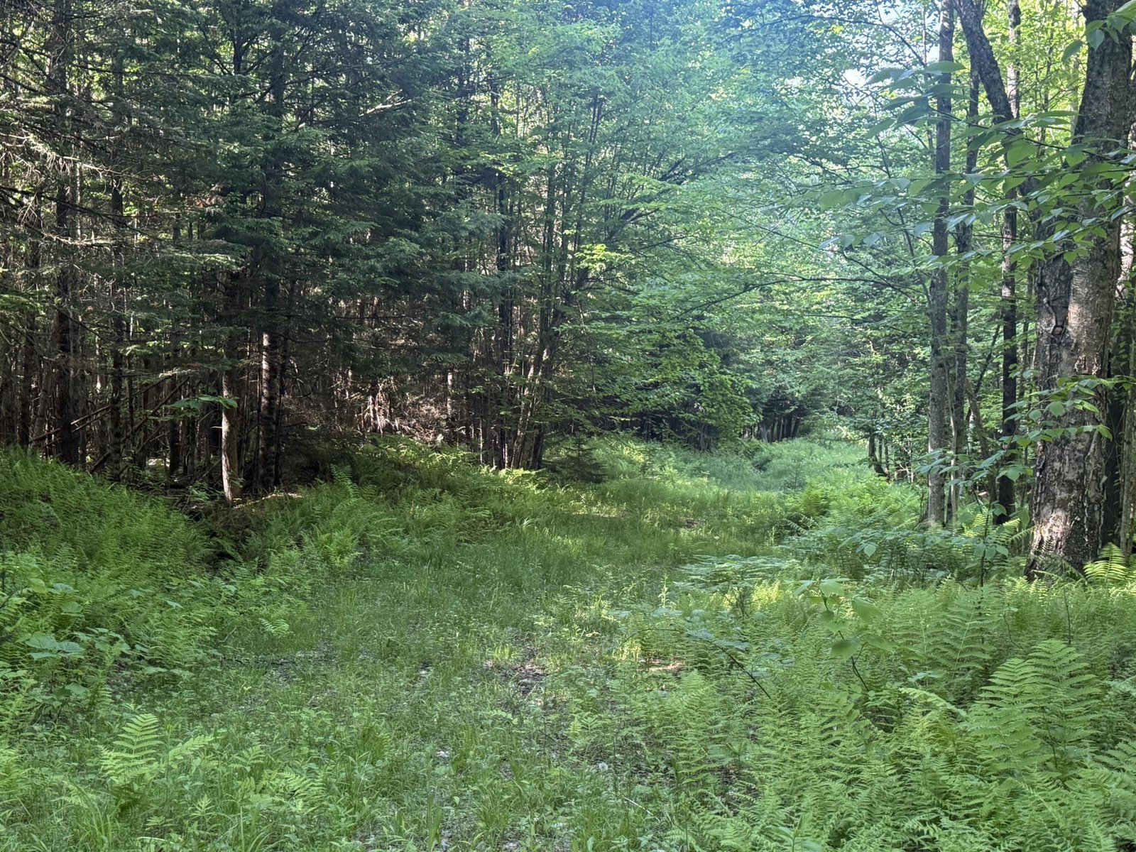 0 Roaring Brook Road
