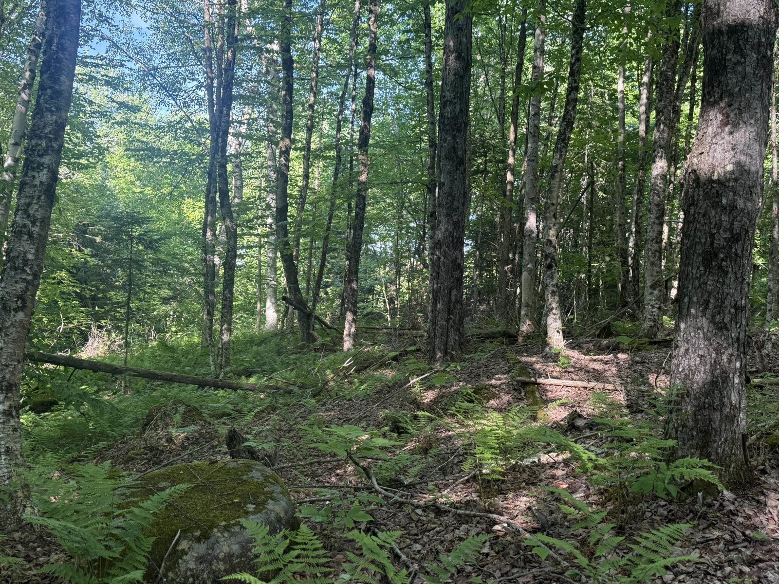 0 Roaring Brook Road