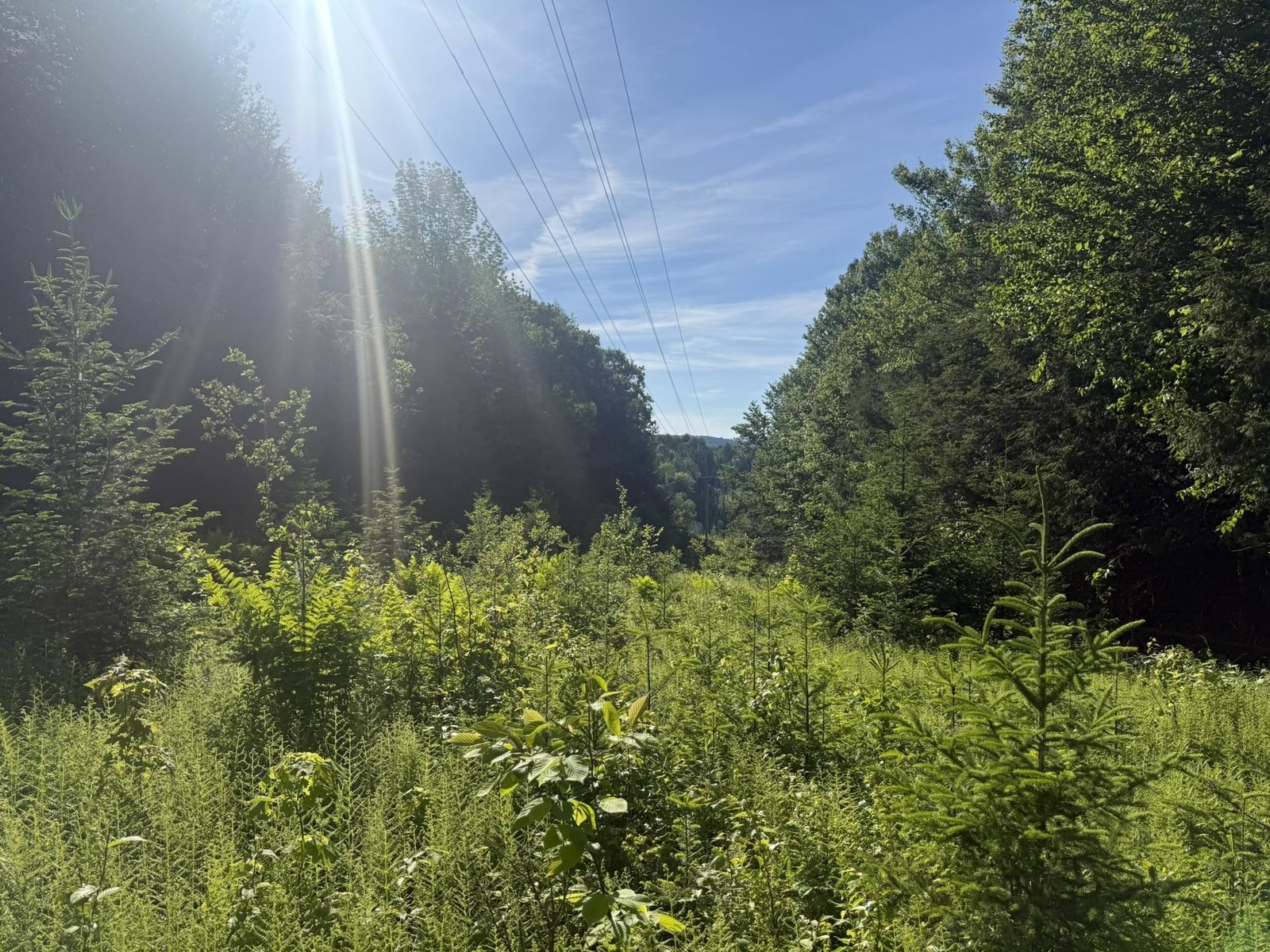 0 Roaring Brook Road