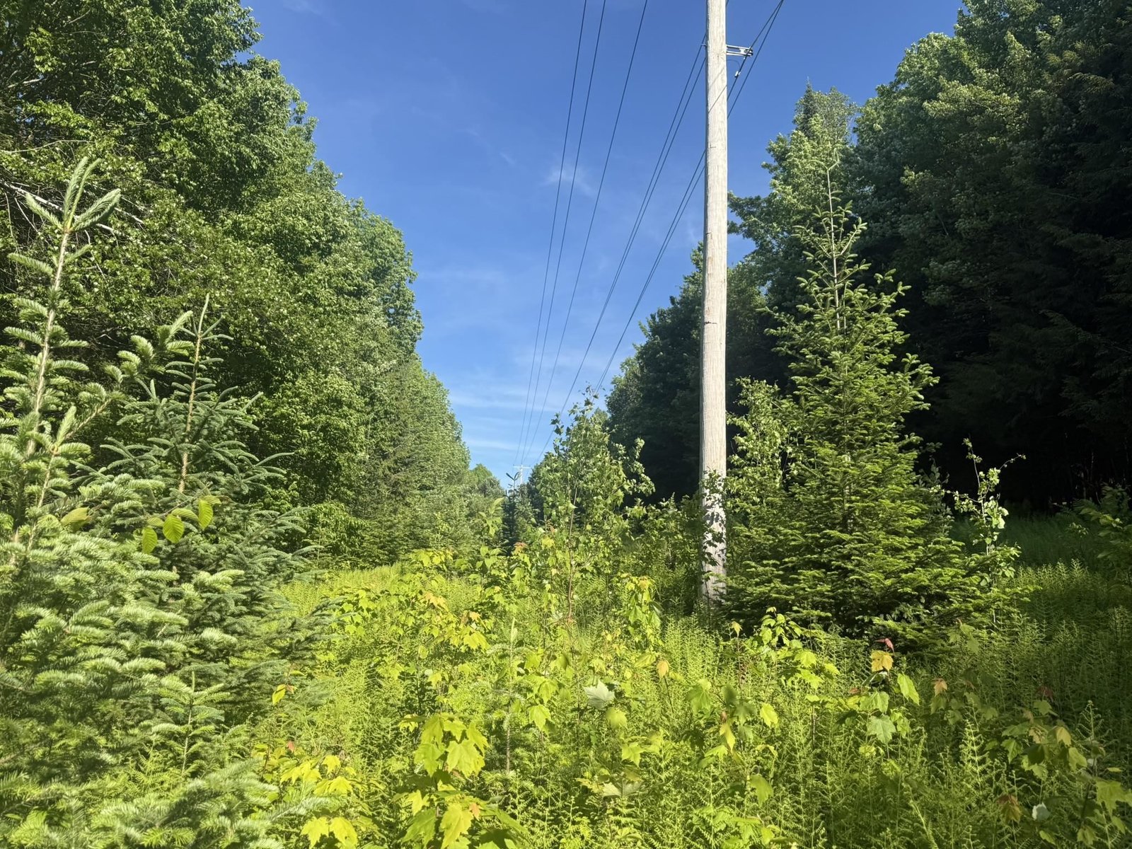 0 Roaring Brook Road